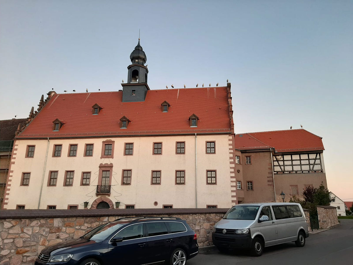 Störche machen Rast auf dem Schloss Prießnitz